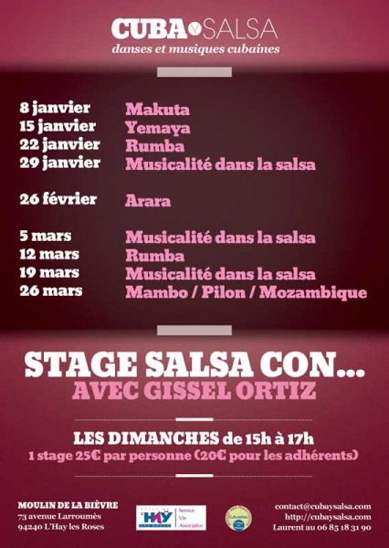 2017 01 08 stages danse musicalite salsa