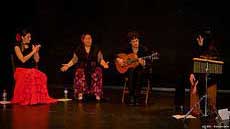 Festival Acousti'Danse Flamenco